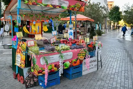Νέοι παραγωγοί στο AgroMarketplace
